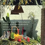 Authentic Andalusian Boho - Pool - Garden-bbq- 7 Guests *