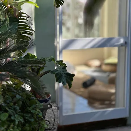 빌라 Authentic Andalusian Boho - Pool - Garden-bbq- 7 Guests 베날마데나코스타
